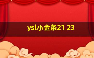 ysl小金条21 23